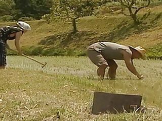 Get lost in the world of Tokyo's Nippon Porn, where your wildest fantasies come true