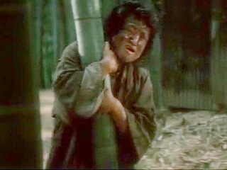 Japanese Porn Megaplex: Nippon's Reign of Terror in the Woods, A Chinese Woman's Nightmare